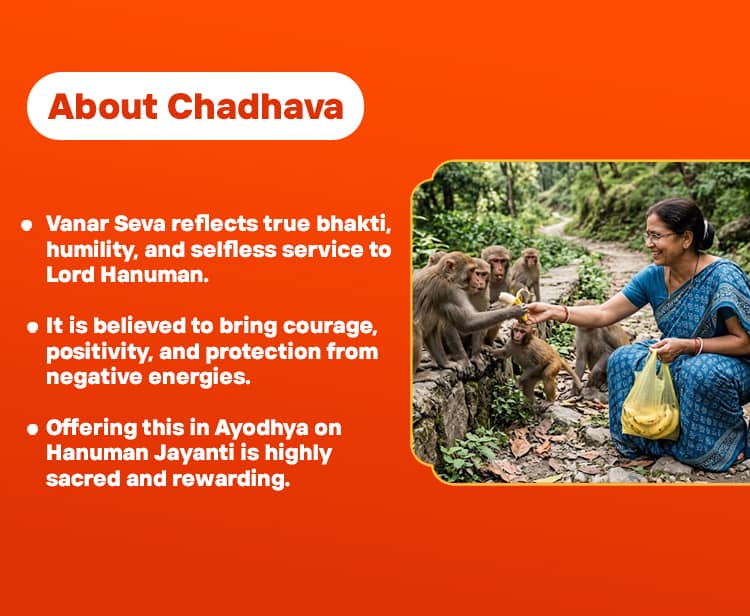 3187Chadhava image
