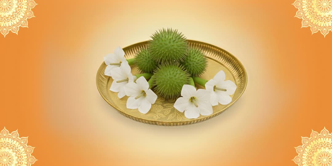 Ancestor Puja